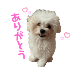 natsumi_20210606170926