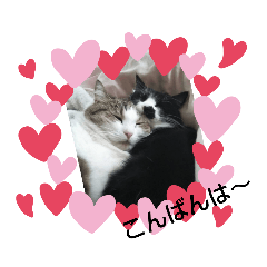 Tomomi_20210607002436