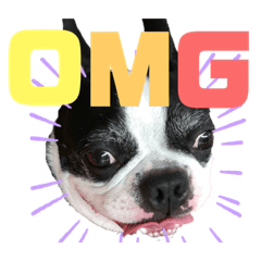 Daily stamp of Barry #1