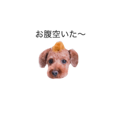 DOG0001