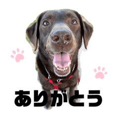 ayumi_20210606192820