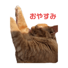 Yuka_20210606213017