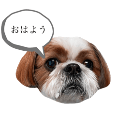 chie_20210606222504