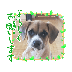 Happy suzu!