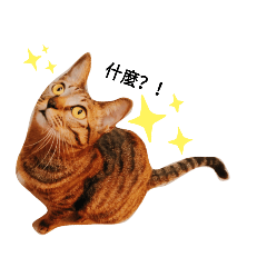 My baby girl and fatty