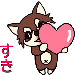 Chihuahua Cocor Emotion