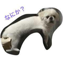 ganchann