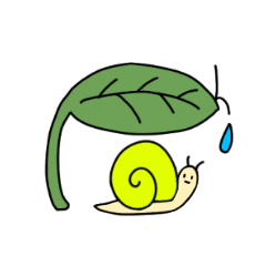 Cute snail everyday