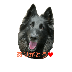 pirica sticker vol.1
