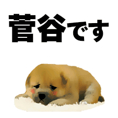 菅谷さん用の名前スタンプ 子犬イラスト Line スタンプ Line Store 菅谷さん用の名前スタンプ 子犬イラスト Line スタンプ Line Store