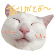 Protection cat STAMPS 2