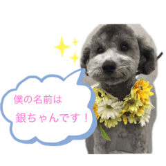 My name is GINCHAN.