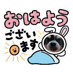 nozomi_20210608105214