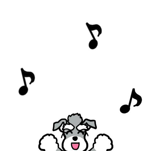 Luke the Miniature Schnauzer 2