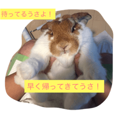 It is Fujiko of Rabbit.