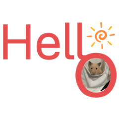 キンクマハムスター413