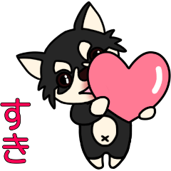 Black Chihuahua Cocoro Emotion
