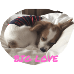 Alice_20210607233842