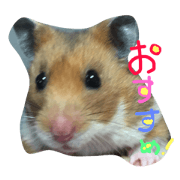 happymonchan