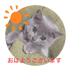 Kitty Moa Stamps
