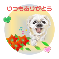 Smile_20210608111823