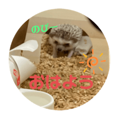 rina_20210608132712
