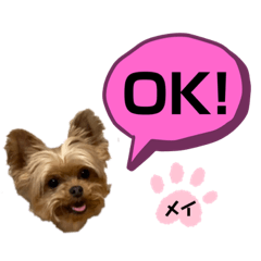 YAMADA_20210607235122