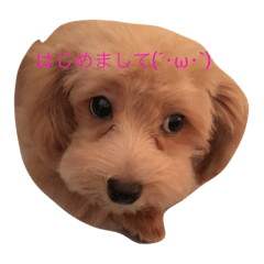 chiroru's days.
