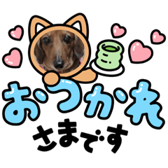 hana_20210608141105