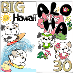 【Big】シーズー犬30『Hawaii』
