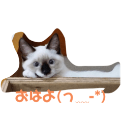 mizuki_20210608143505