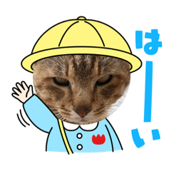 chibi_20210608155313