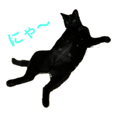 mizuki_20210608155025