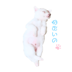 kaori_20210608172421