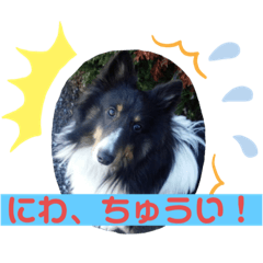 yukari_20210608171812