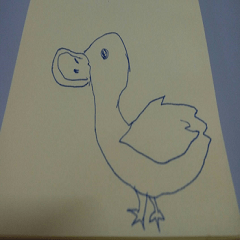 Draw a sketch of a duck
