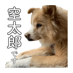 mizuki_20210608182816