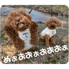 marokuru_20210608194025