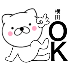Name cat Yokota