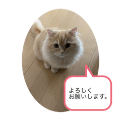 Monaka_20210608202252