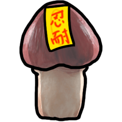 Mr. Shiitake Mushrooms 2