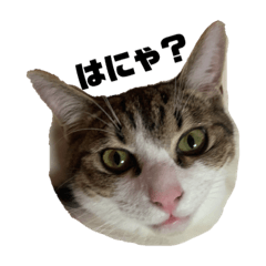 Sarapoyo_20210608203909