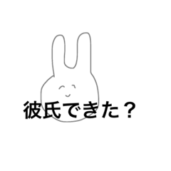 rabbit's everyday....