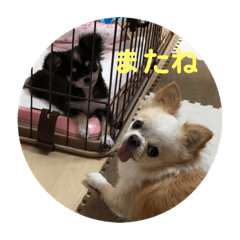 hana_20210608231416