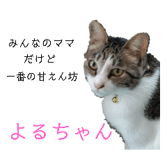 aoi_20210608181743