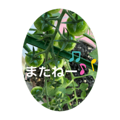 ayumi_20210609100246