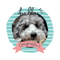 akiko_20210608201710