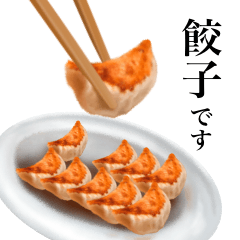 Japanese Food - Gyoza 9