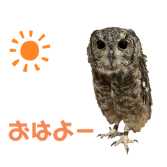 asuka_20210608174403