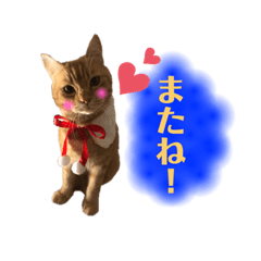 yuchiko_20210608184241
